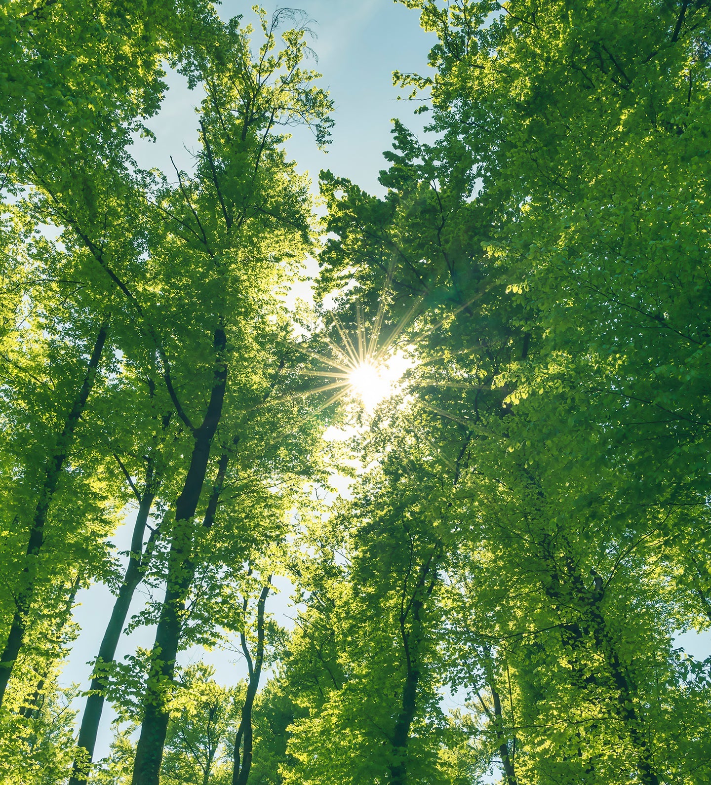 HP-Impact-Sustainability-Desktop.jpg